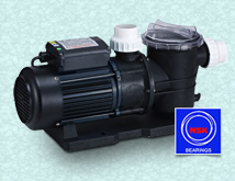 Pompa kolam renang kapasitas 30 kubik air