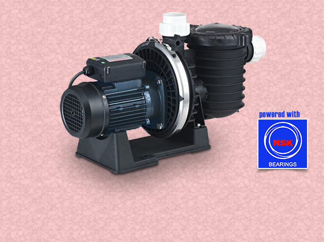 Pompa kolam renang kapasitas 30,5 kubik/jam